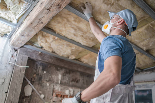 Best Energy-efficient Insulation  in Westminster, SC