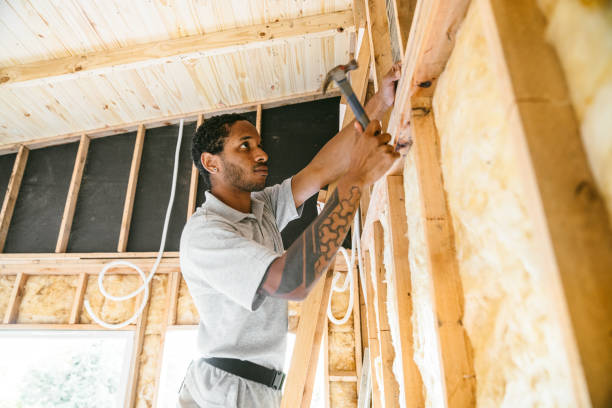 Best Insulation Removal  in Westminster, SC